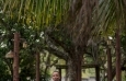 samuel-jose-blessing - Fotos