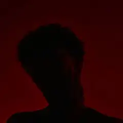 Slln