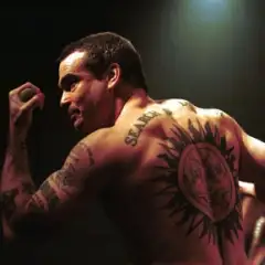 The Rollins Band