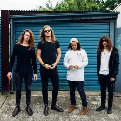 The Vanns